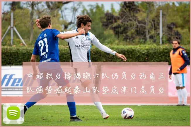 中超积分榜揭晓六队仍负分西南三队强势崛起泰山队垫底津门虎负分严重